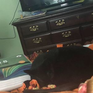 Meet your Posher, Sharon